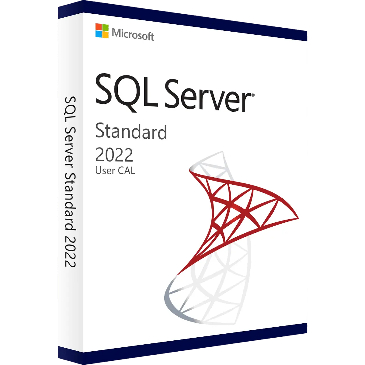 Box Microsoft SQL Server Standard 2022 User CAL Lizenz